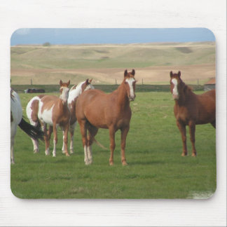 Quarter Horse Herd Mouse Pad 
