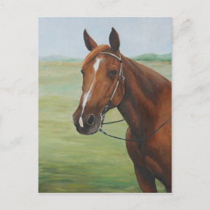Quarter Horse Original Art Postcard