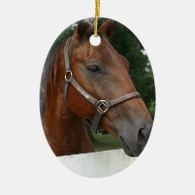 Quarter Horse Photo Ornament (Front)