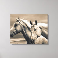 Quarter Horses On Canadian Prairie