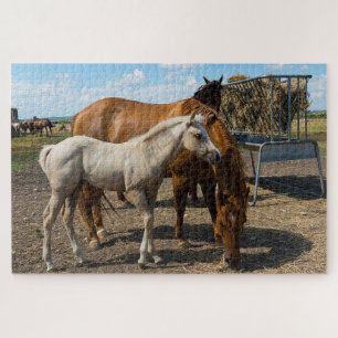 Quarter Horses Texas. Jigsaw Puzzle