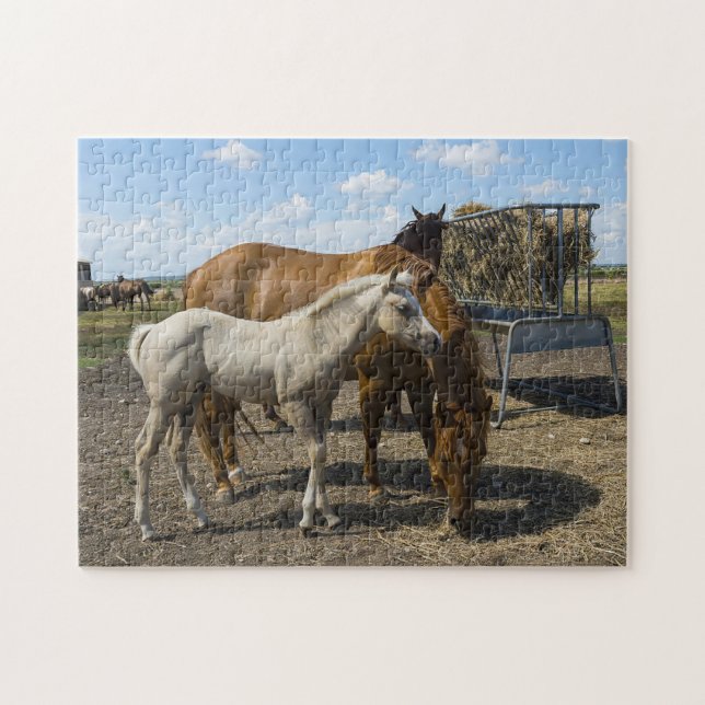 Quarter Horses Texas. Jigsaw Puzzle (Horizontal)