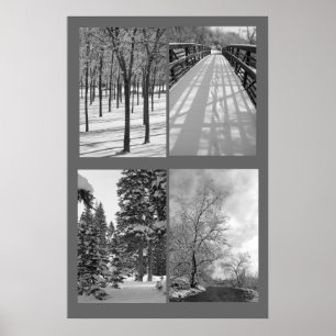 Quartet Black and White Nature Poster