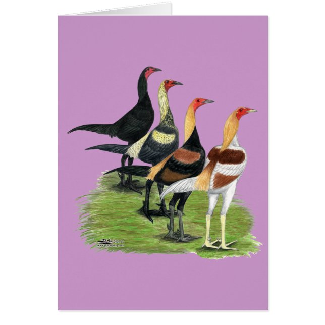 Quartet de jeu moderne (Devant)