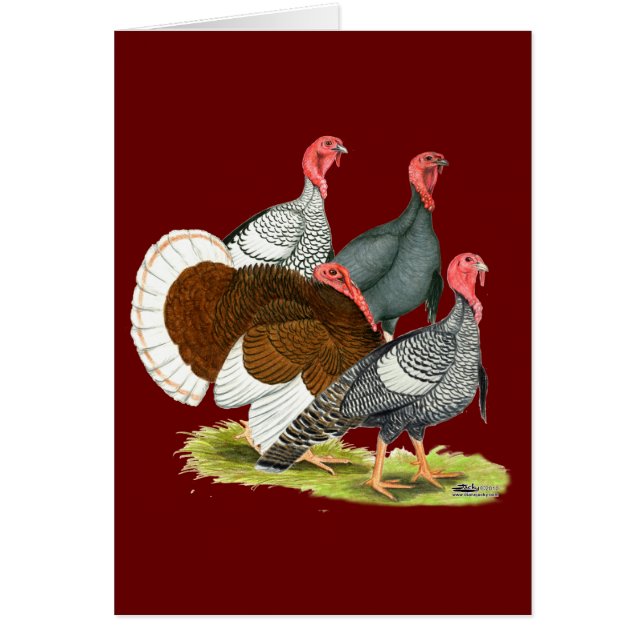 Quartet de Turquie rare (Devant)