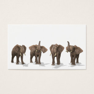 Quartet des éléphants