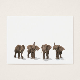 Quartet des éléphants