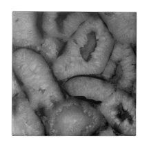 Quartz Agate Geode Black White gemstones