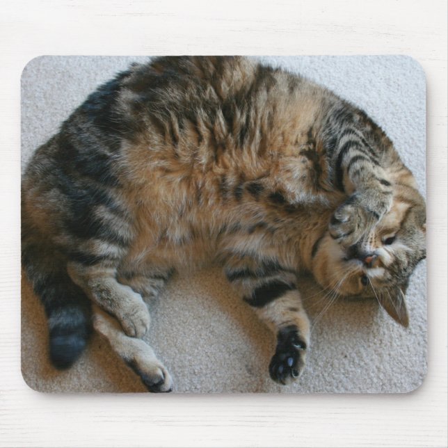 Quasi Mousepad (Front)