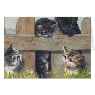 Quatre chatons jouant l'illustration vintage