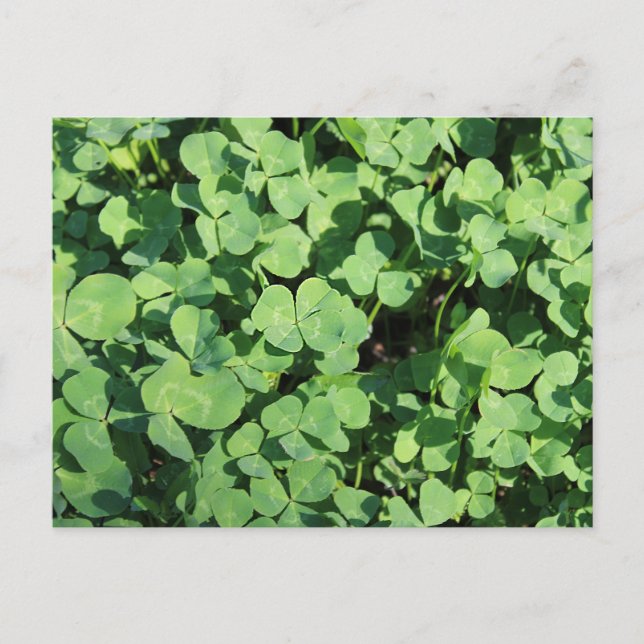 quatre cloches Cartes postales (Devant)