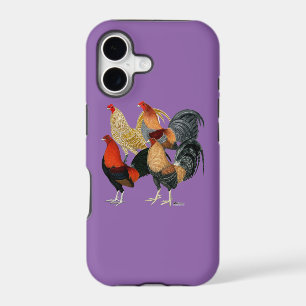 Quatre Gamecocks