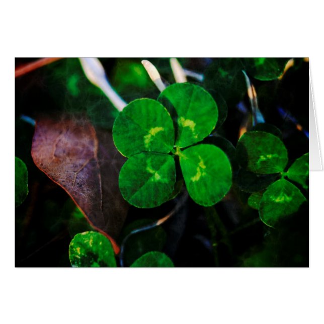 Quatre Leaf Clover Lucky (Devant horizontal)