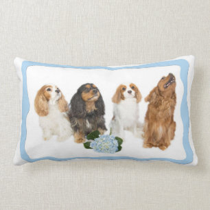 Quatre oreillers lombaires Cavalier King Charles S