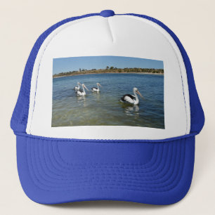 Quatre Pélicans Nager Sur La Mer, Casquette De Cam