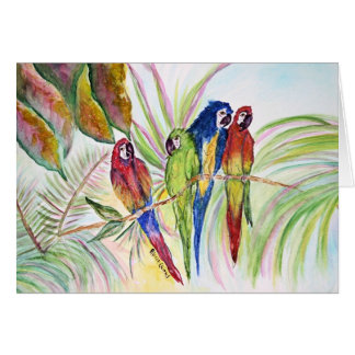 Quatre perroquets se reposant dans un arbre