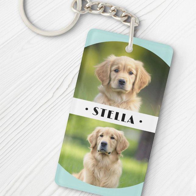 Quatre photos de chiens de compagnie bleu aqua cla (Créateur téléchargé)