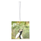 Quatre photos et une année