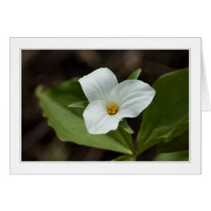 quatre saisons dans la carte du Michigan 01