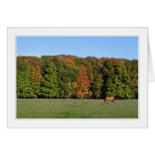 quatre saisons dans la carte du Michigan 09