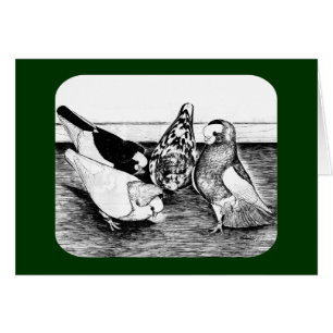 Quatuor Komorner Tumbler