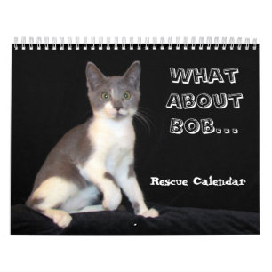 Que dire du calendrier Bob Kitten - Encore Edition