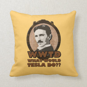 Que ferait Tesla Coussin