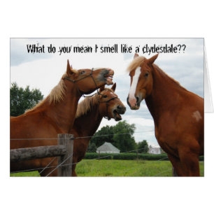 Que veux-tu dire, je sens comme une carte clydesda