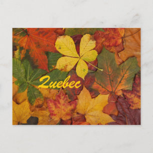 Quebec Autumn Leaves Postcard