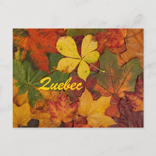 Quebec Autumn Leaves Postcard (Front)