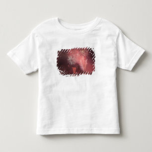 Quebec City, Quebec, Canada. Fireworks at Parc 2 Toddler T-shirt