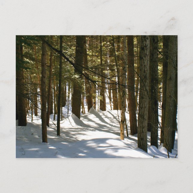 Quechee, VT Postcard (Front)