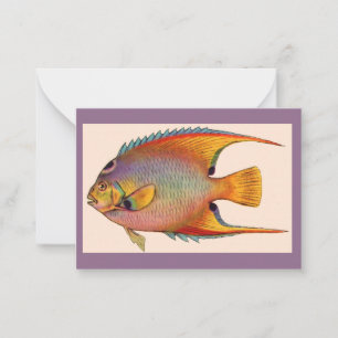 queen angelfish card