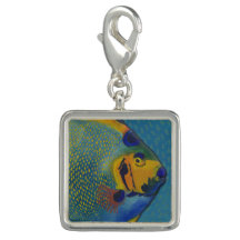 Queen Angelfish Charm