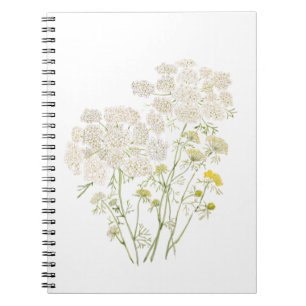Queen Ann Lace ink and watercolor painting Notebook