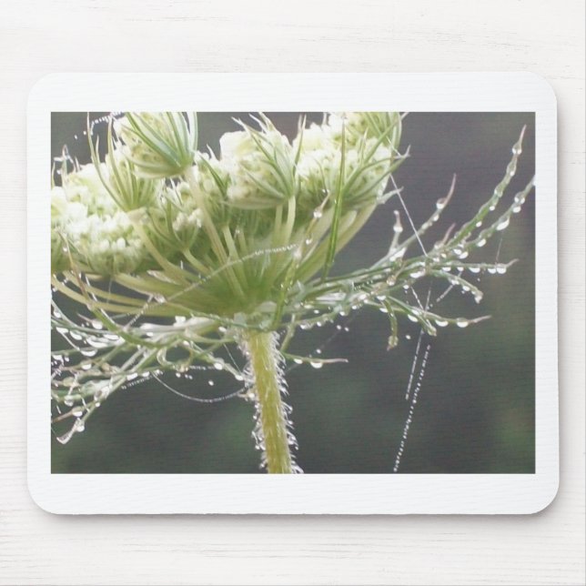 Queen Anne and Morning Dew Mouse Pad (Front)