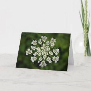 Queen Anne’s Lace, card