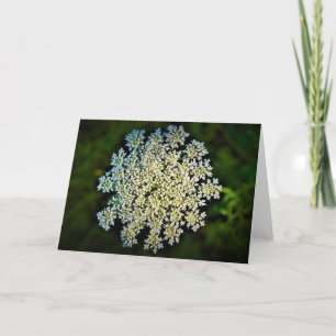 Queen Anne’s Lace, card