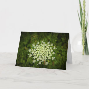 Queen Anne’s Lace, card