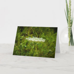 Queen Anne’s Lace, card