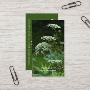 Queen Anne's La ce Wildflower - Daucus carota Busi Business Card