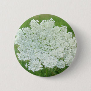 Queen Annes Lace 2 Inch Round Button