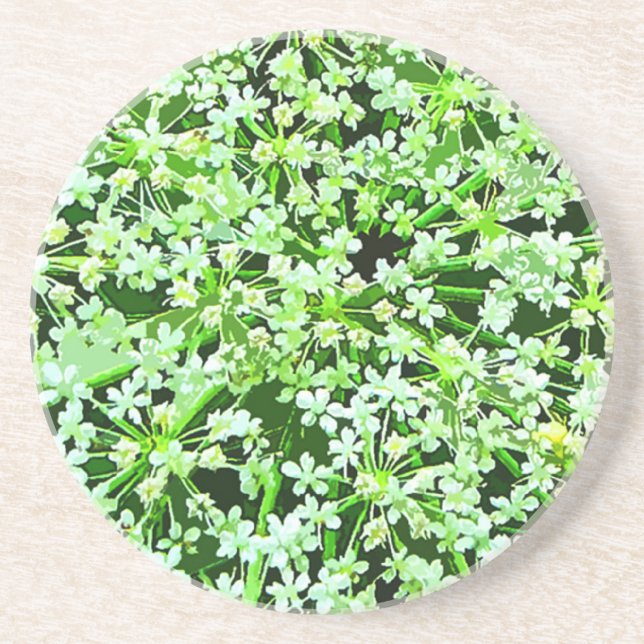 Queen Annes Lace Coaster (Front)