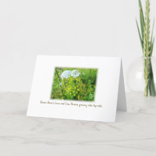 Queen Anne's Lace & Cow Parsnip Card on White