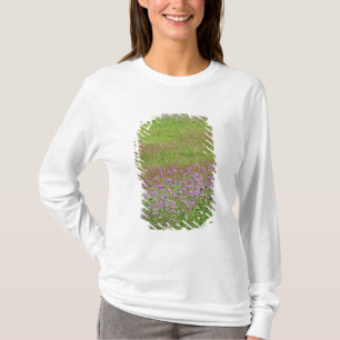 Queen Anne's Lace Daucus carota) growing T-Shirt
