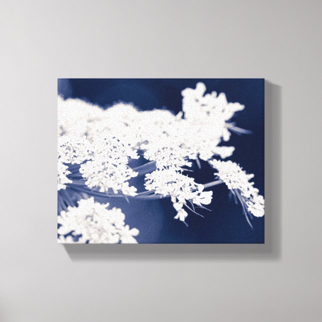 Queen Anne's Lace Flowers Wrapped Canvas (Front)