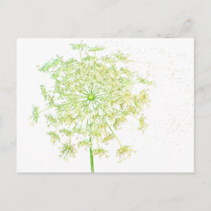 Queen Anne's Lace Gifts and Favours Postcard