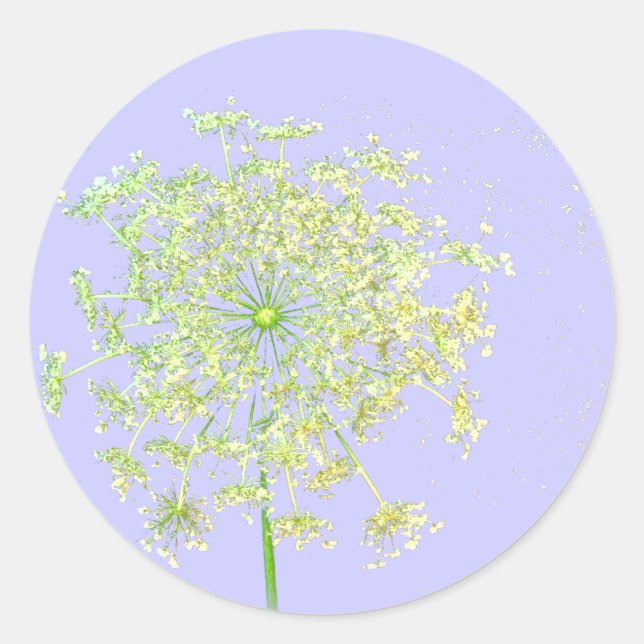 Queen Anne's Lace Stickers (Front)