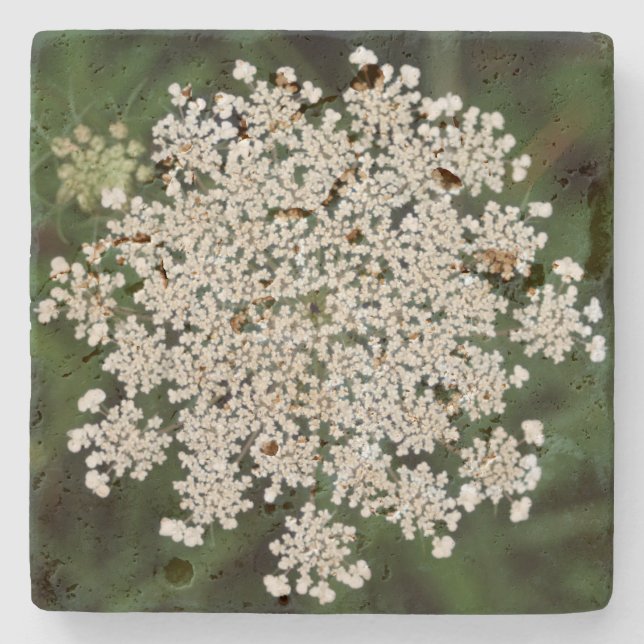 Queen Anne's Lace Stone Coaster (Front)