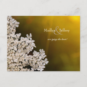 Queen Anne's Lace sunlight wedding save the date Announcement Postcard